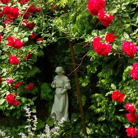 Zur Post Hotel Mulheim an der Mosel