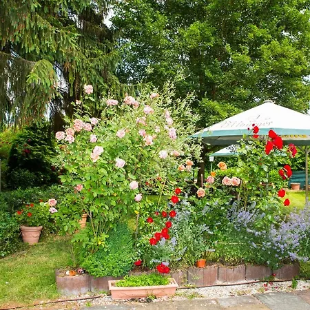 Zur Post 3* Mulheim an der Mosel