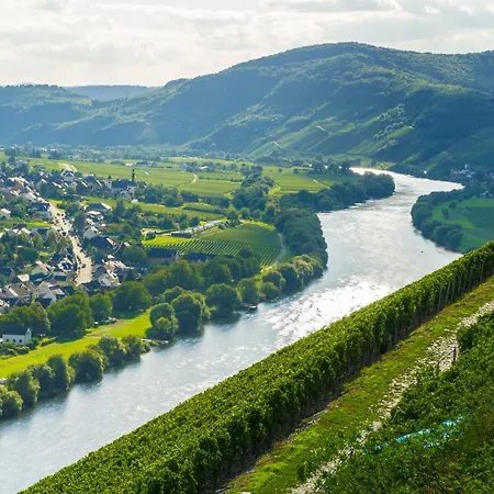 Hotel Zur Post Mulheim an der Mosel