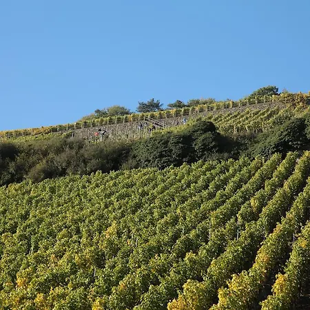 Hotel Zur Post Mulheim an der Mosel