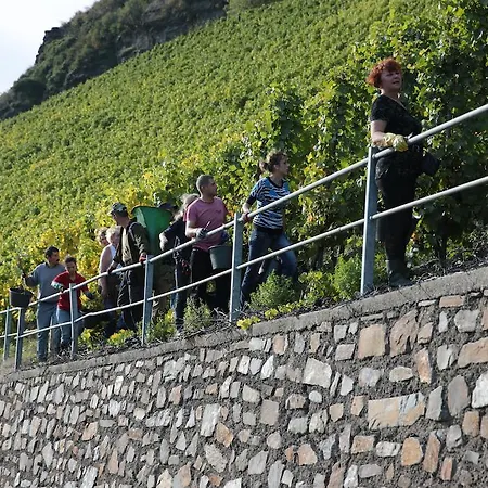 Hotel Zur Post Mulheim an der Mosel