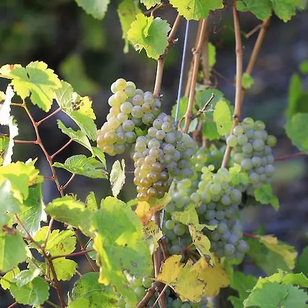 Zur Post Mulheim an der Mosel