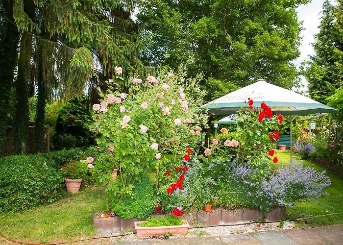 Zur Post 3* مولهايم ان دور موسيل