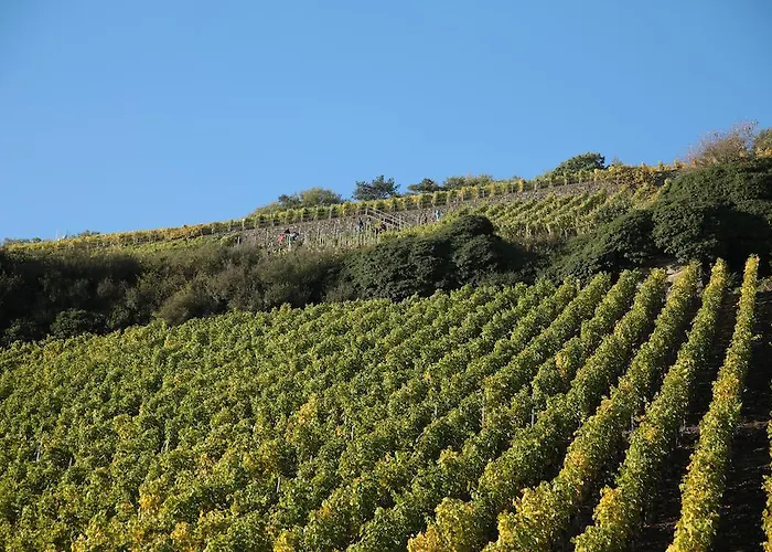 فندق Zur Post مولهايم ان دور موسيل