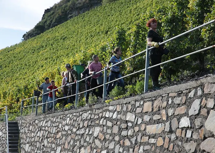 Hotel Zur Post Mulheim an der Mosel
