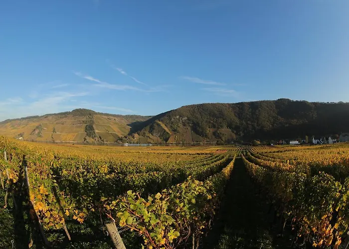 فندق Zur Post 3*